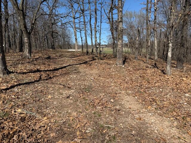000 Tract 9 Sugar Fork Road Property Photo 1