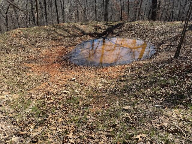 000 Tract 9 Sugar Fork Road Property Photo 2