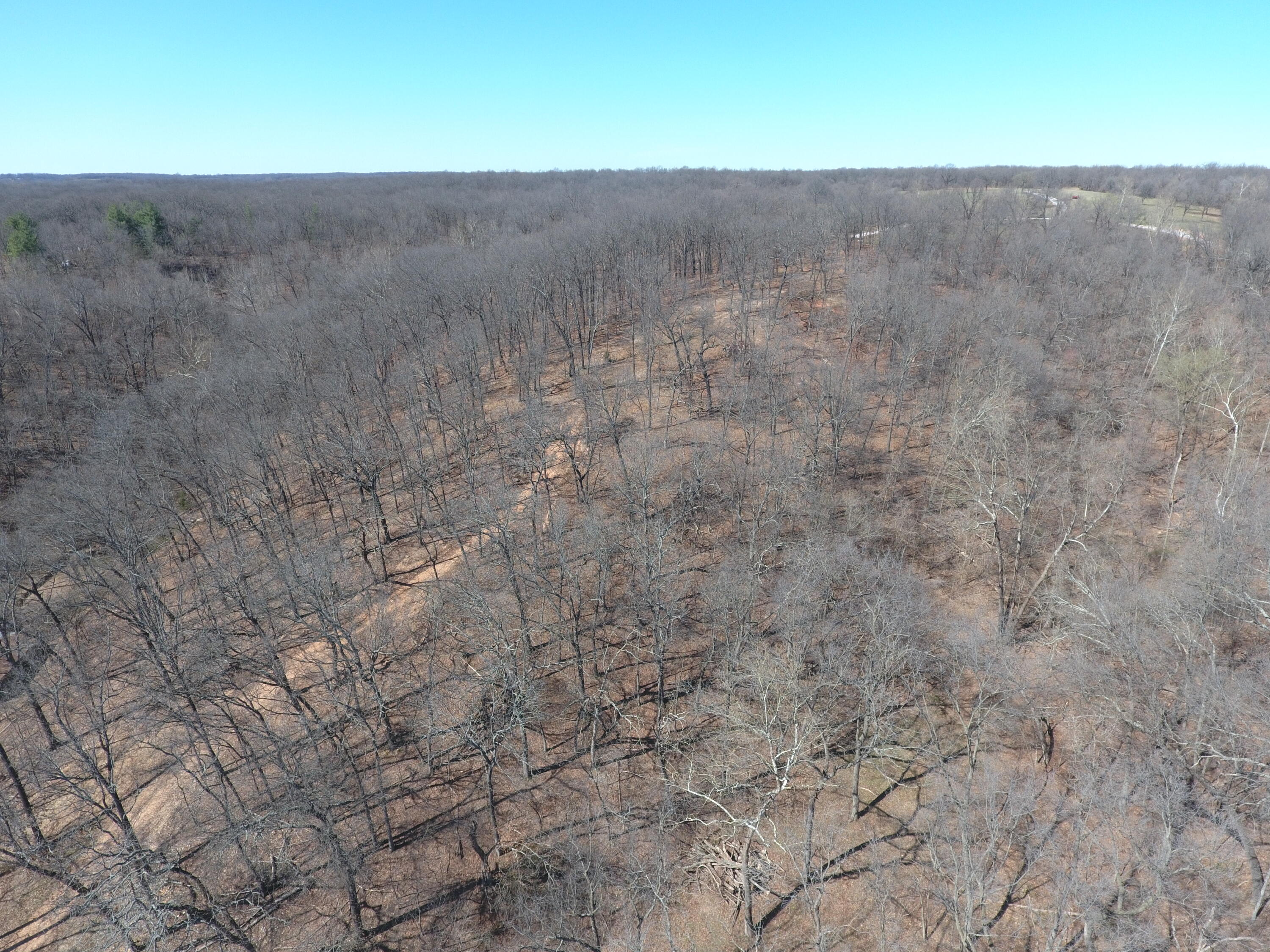 000 Tract 9 Sugar Fork Road Property Photo 3