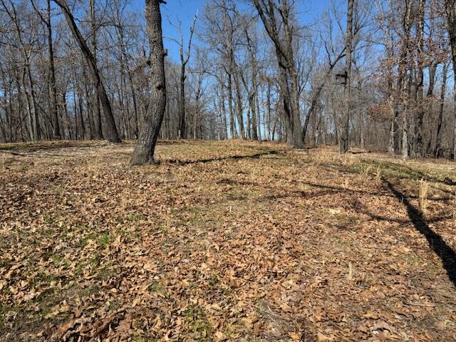 000 Tract 9 Sugar Fork Road Property Photo 4