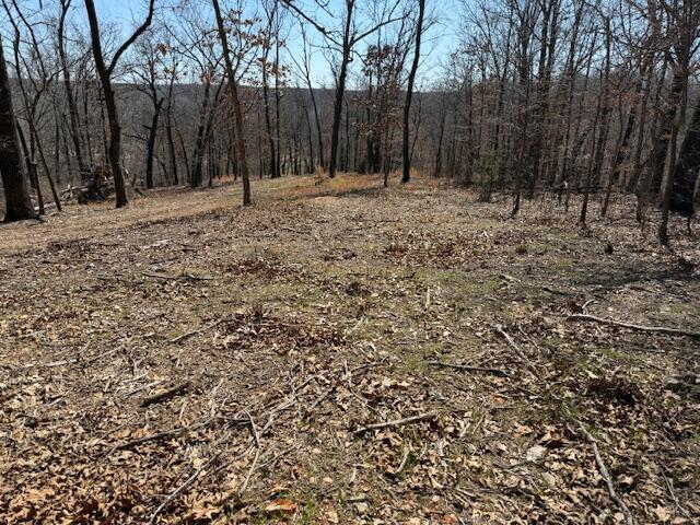 000 Tract 9 Sugar Fork Road Property Photo 6