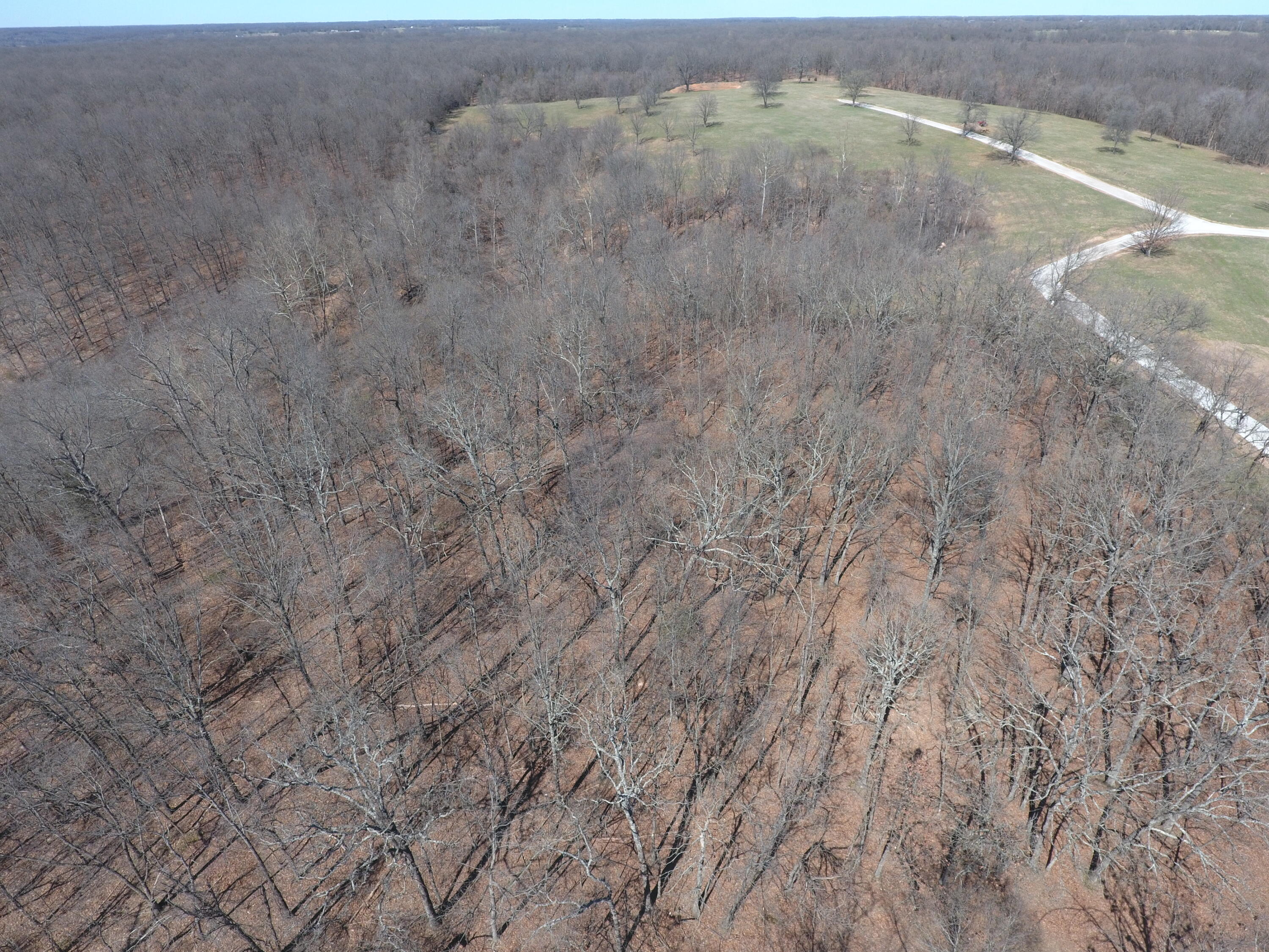 000 Tract 9 Sugar Fork Road Property Photo 7