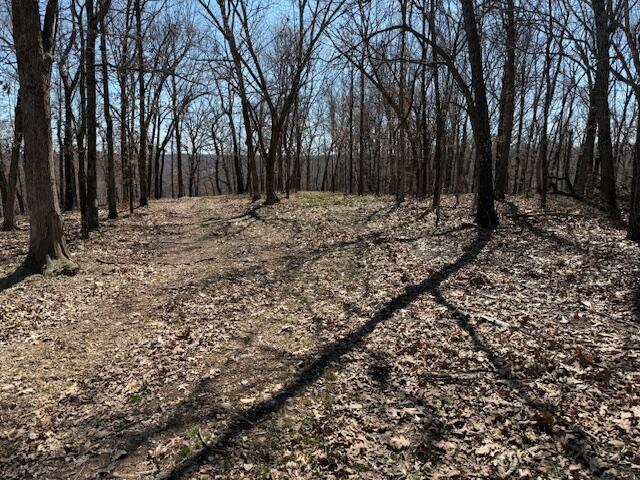 000 Tract 9 Sugar Fork Road Property Photo 8