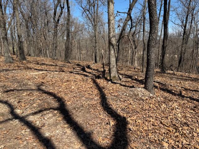 000 Tract 9 Sugar Fork Road Property Photo 9