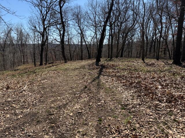 000 Tract 9 Sugar Fork Road Property Photo 10