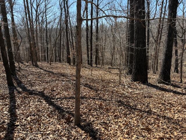 000 Tract 9 Sugar Fork Road Property Photo 11