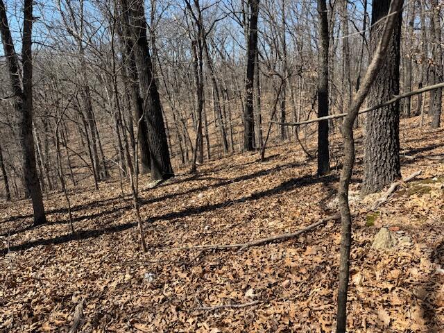 000 Tract 9 Sugar Fork Road Property Photo 12