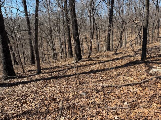 000 Tract 9 Sugar Fork Road Property Photo 13