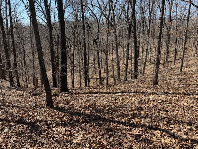 000 Tract 9 Sugar Fork Road Property Photo 14