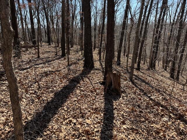 000 Tract 9 Sugar Fork Road Property Photo 15