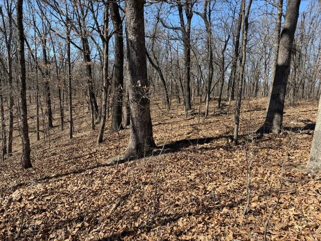 000 Tract 9 Sugar Fork Road Property Photo 16