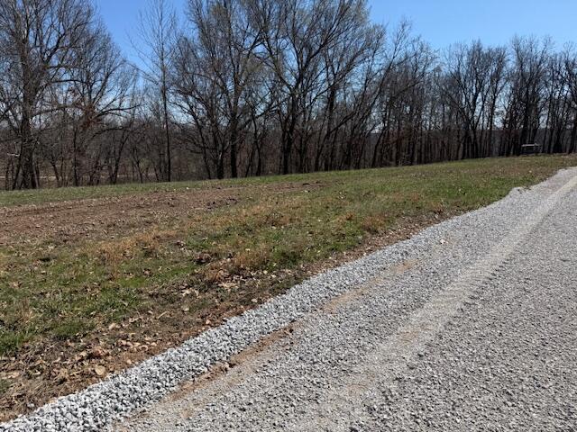 000 Tract 10 Sugar Fork Road Property Photo 5
