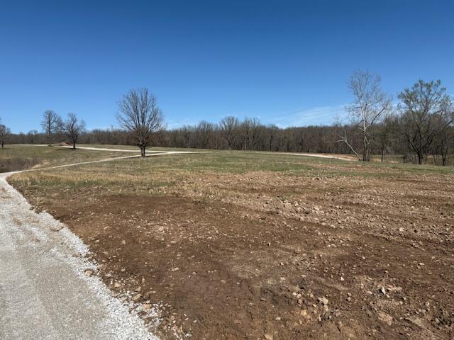 000 Tract 10 Sugar Fork Road Property Photo 8