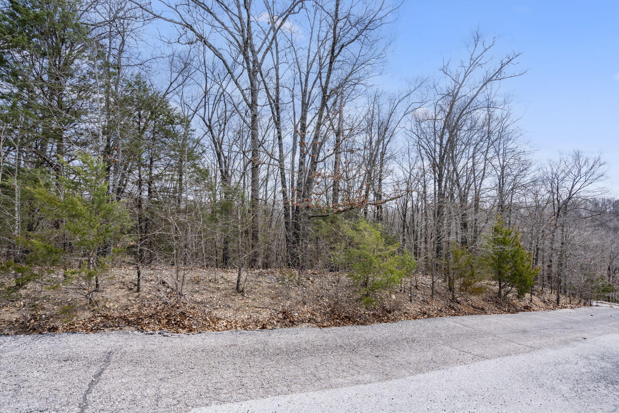 Lot 23 Mcguire Drive Property Photo 7