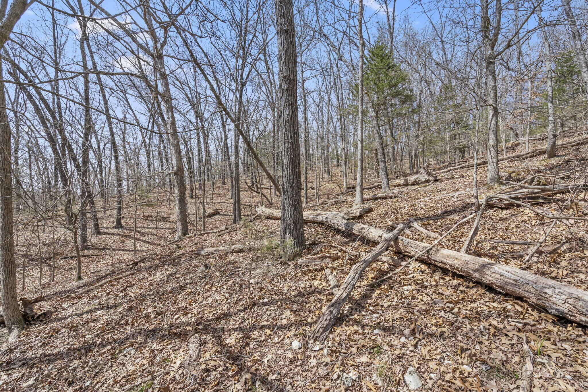 Lot 23 Mcguire Drive Property Photo 8