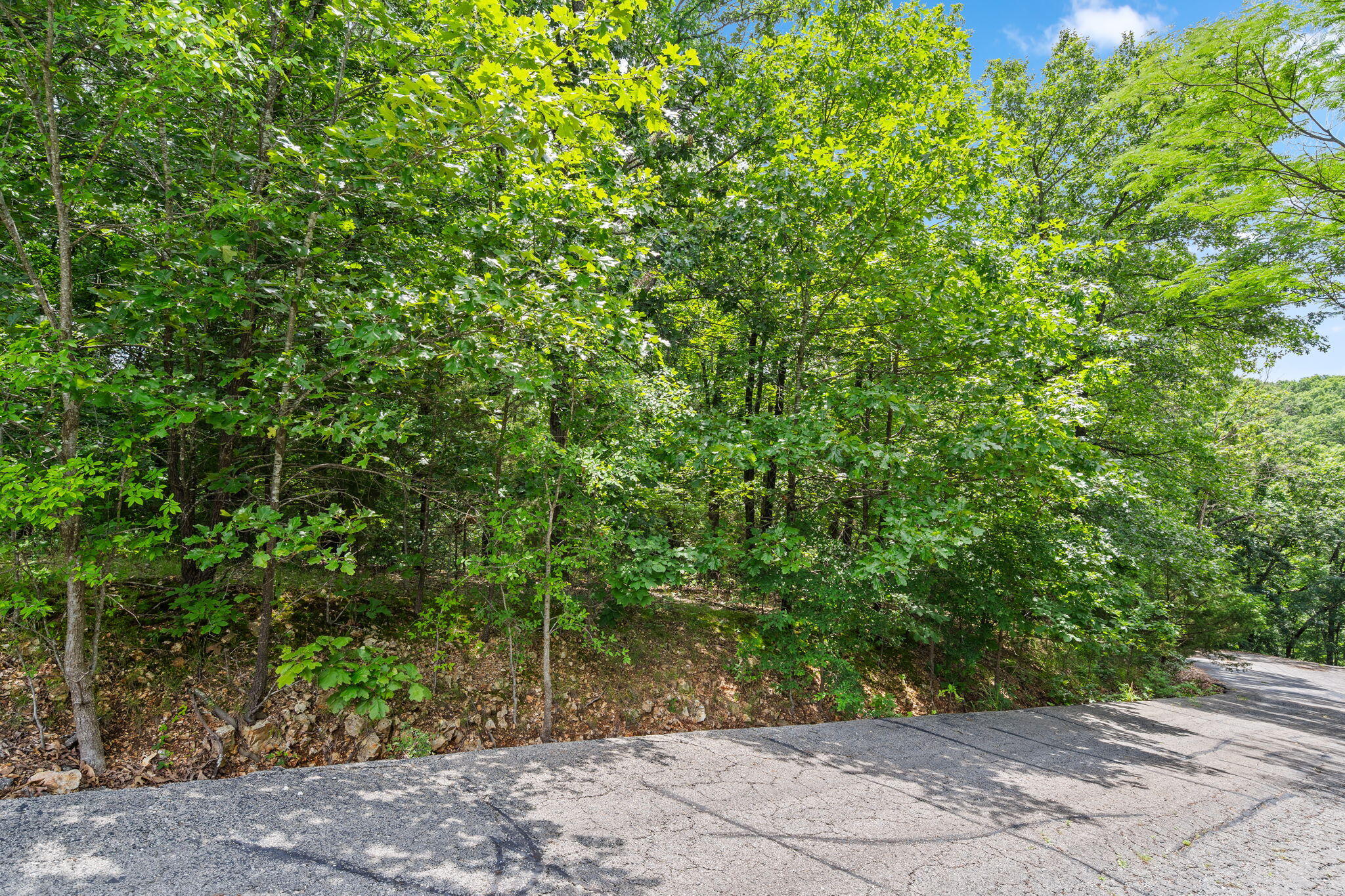 Lot 23 Mcguire Drive Property Photo 8