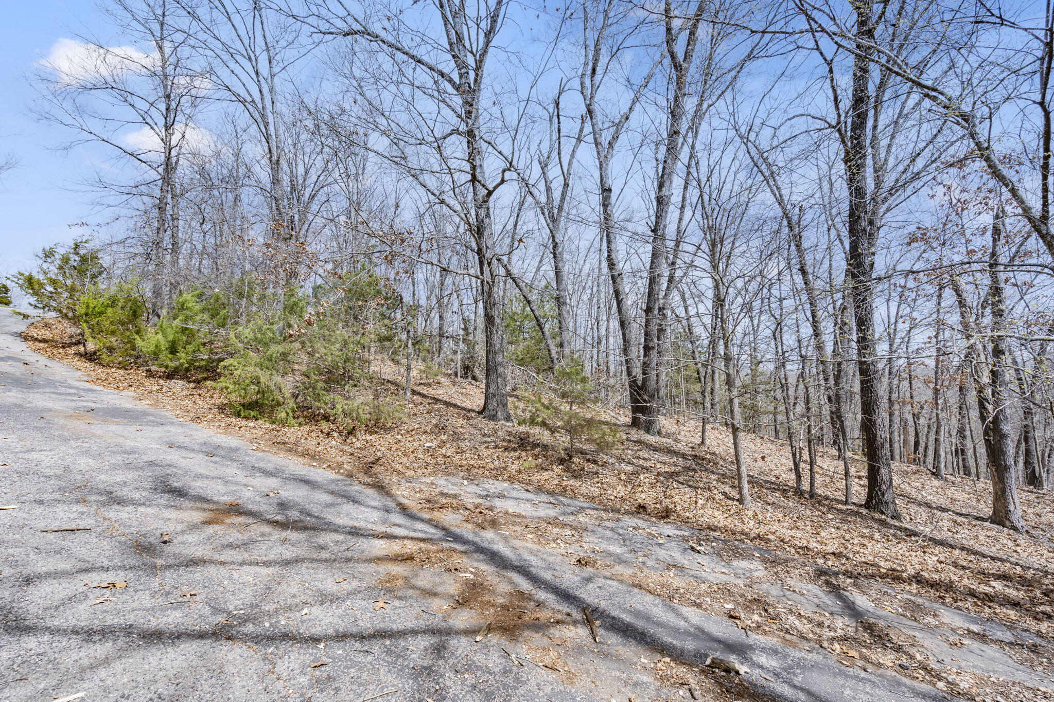 Lot 23 Mcguire Drive Property Photo 9