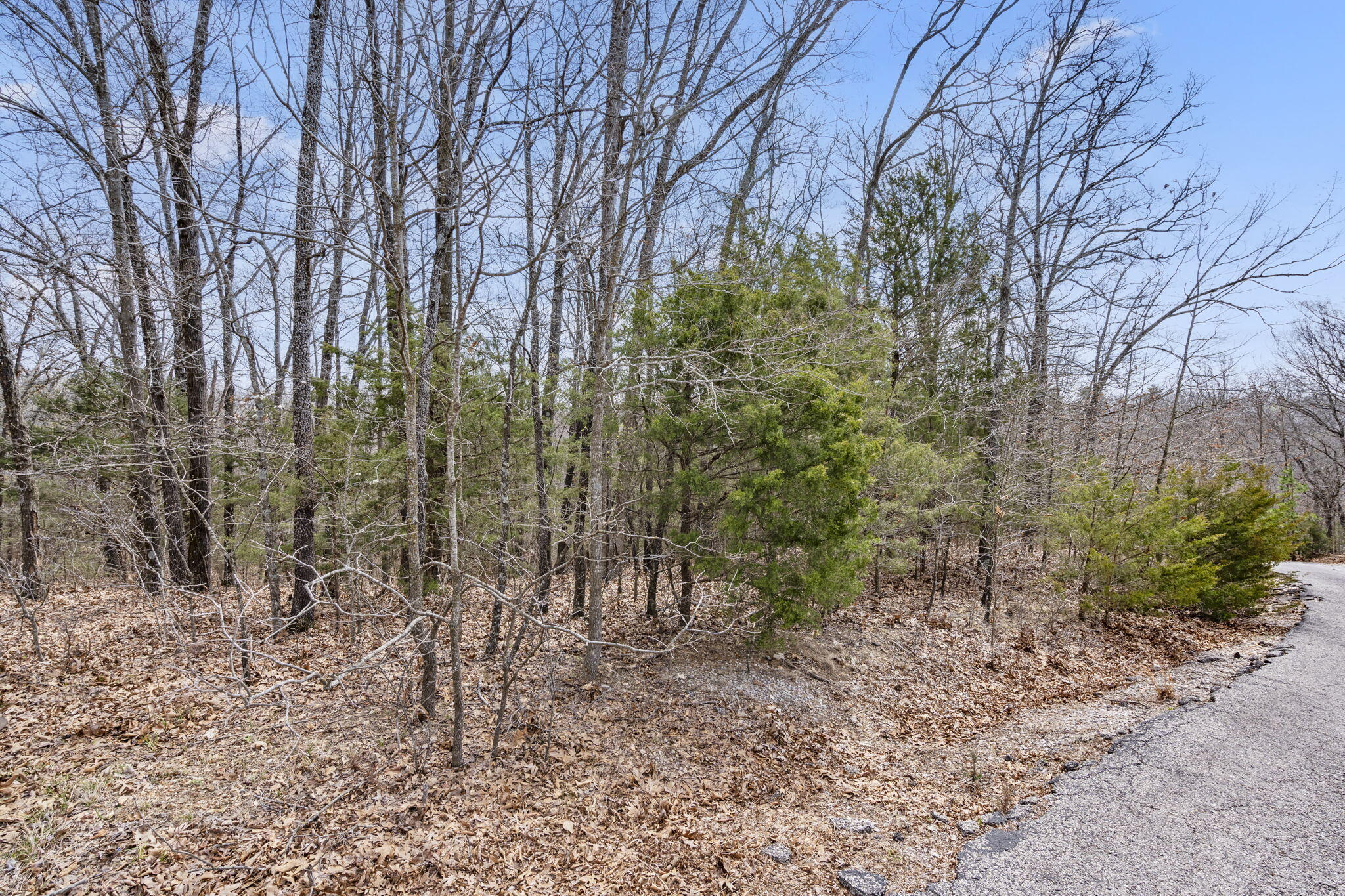 Lot 23 Mcguire Drive Property Photo 12