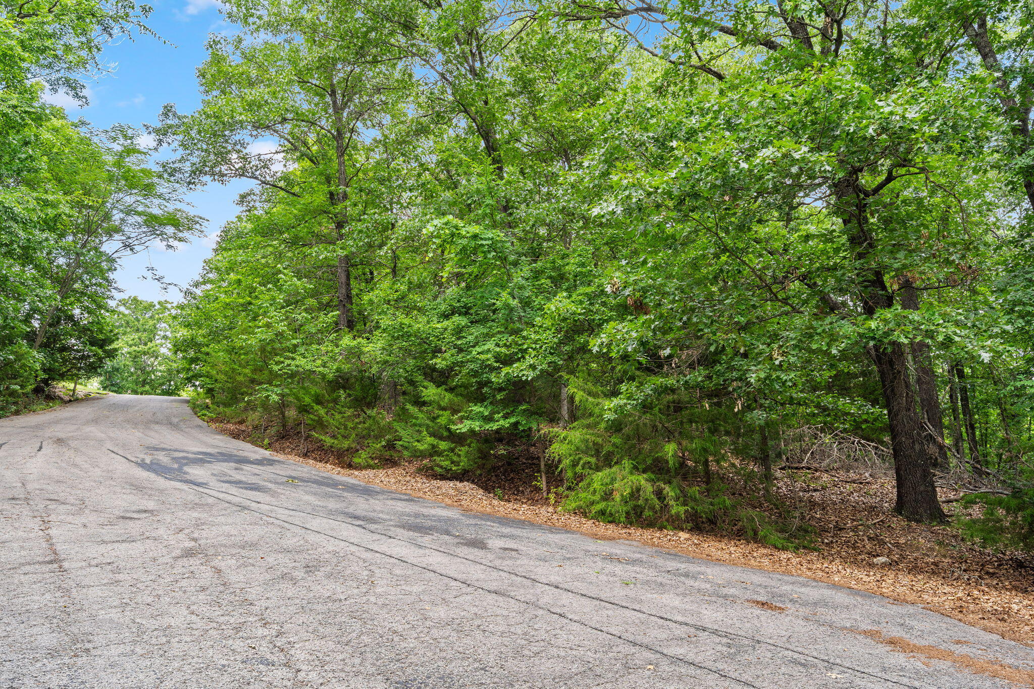 Lot 23 Mcguire Drive Property Photo 12