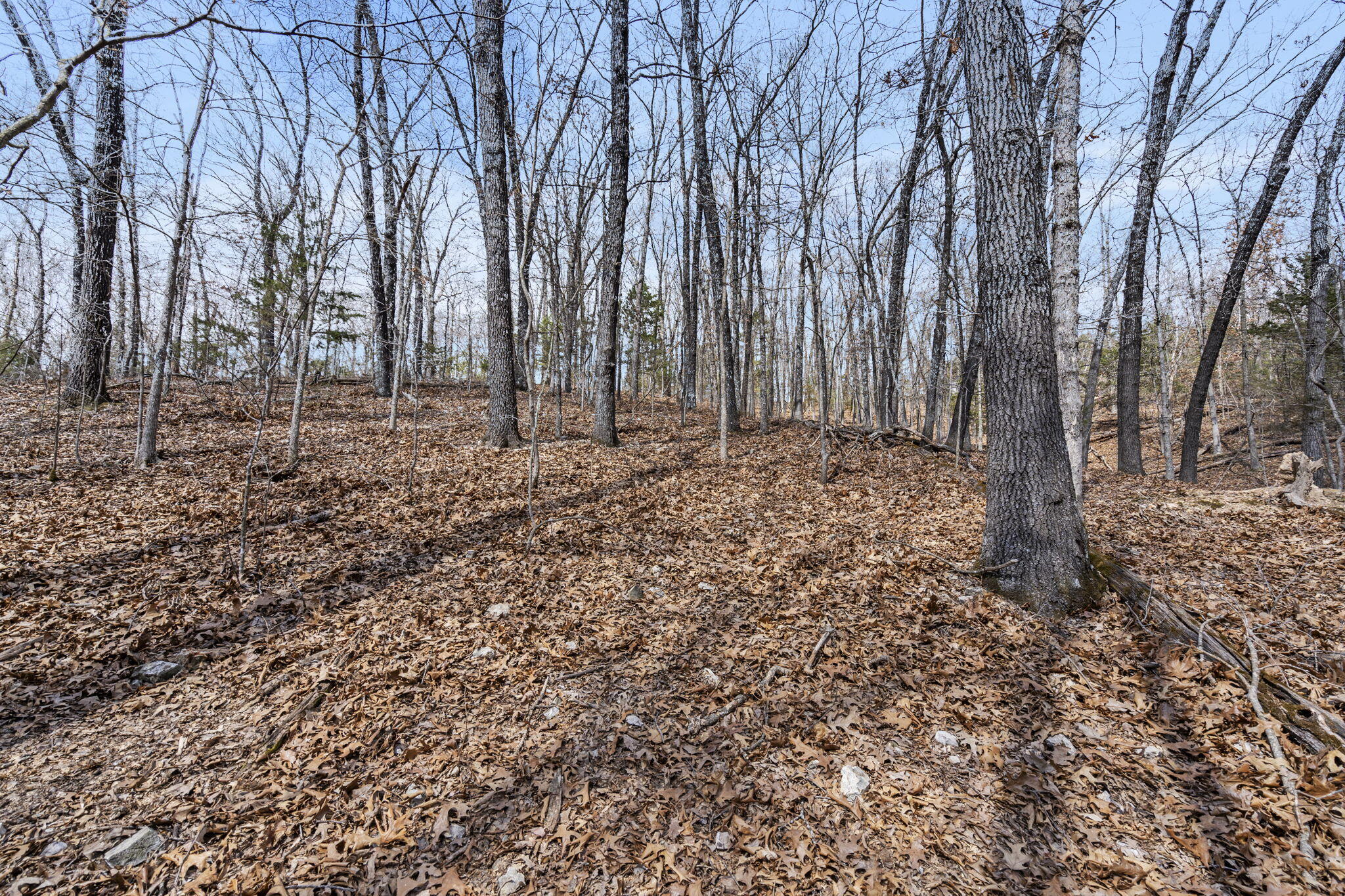 Lot 23 Mcguire Drive Property Photo 13