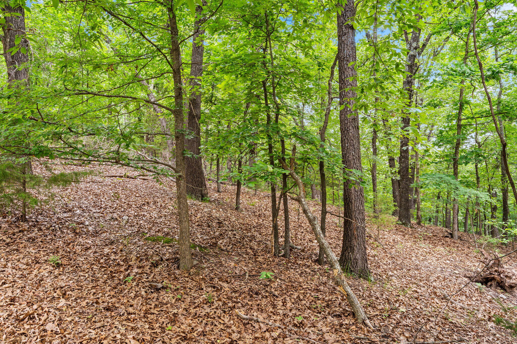 Lot 23 Mcguire Drive Property Photo 13