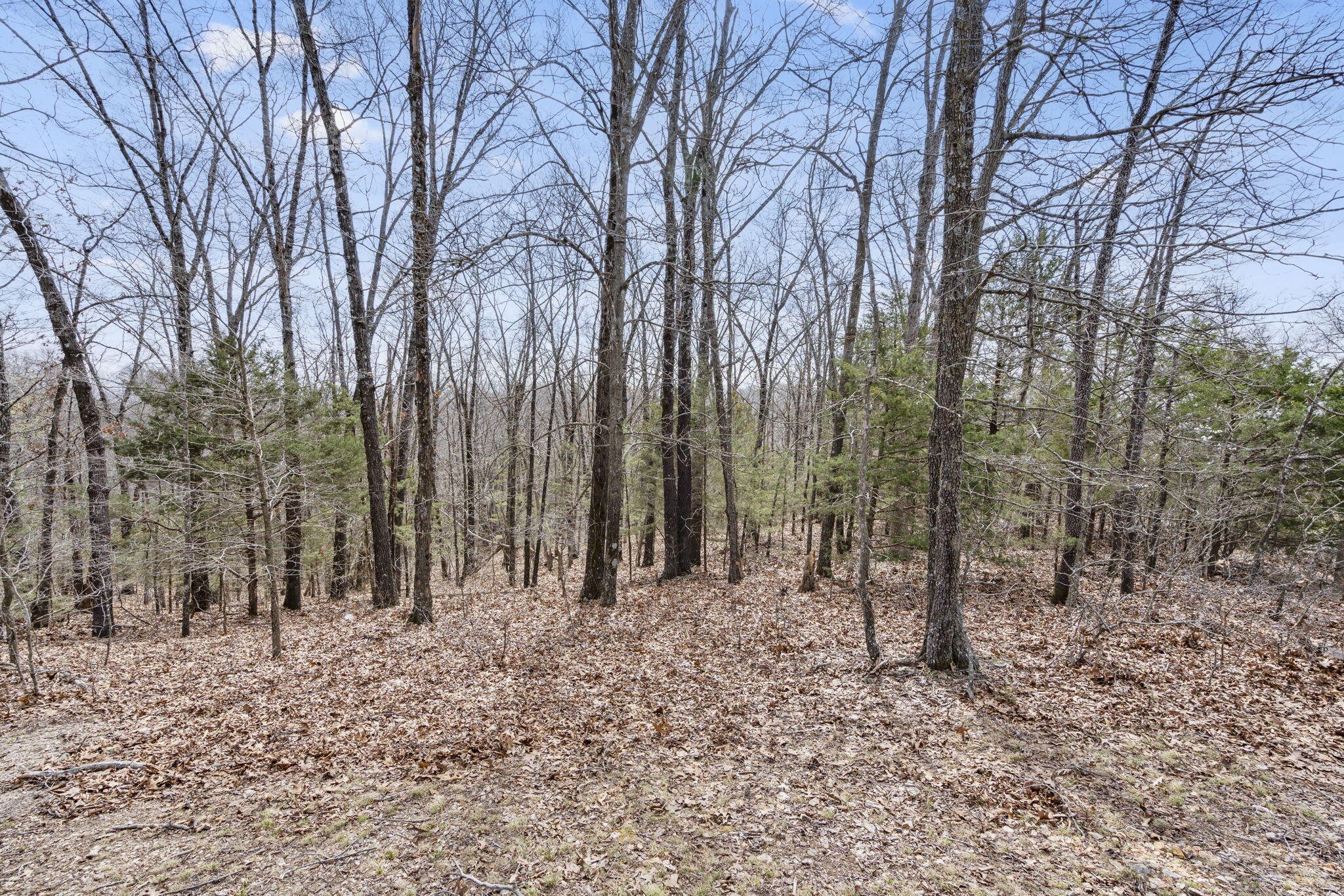 Lot 23 Mcguire Drive Property Photo 14