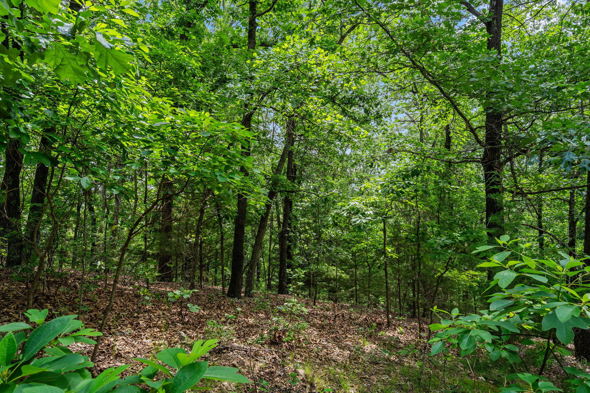 Lot 23 Mcguire Drive Property Photo 14