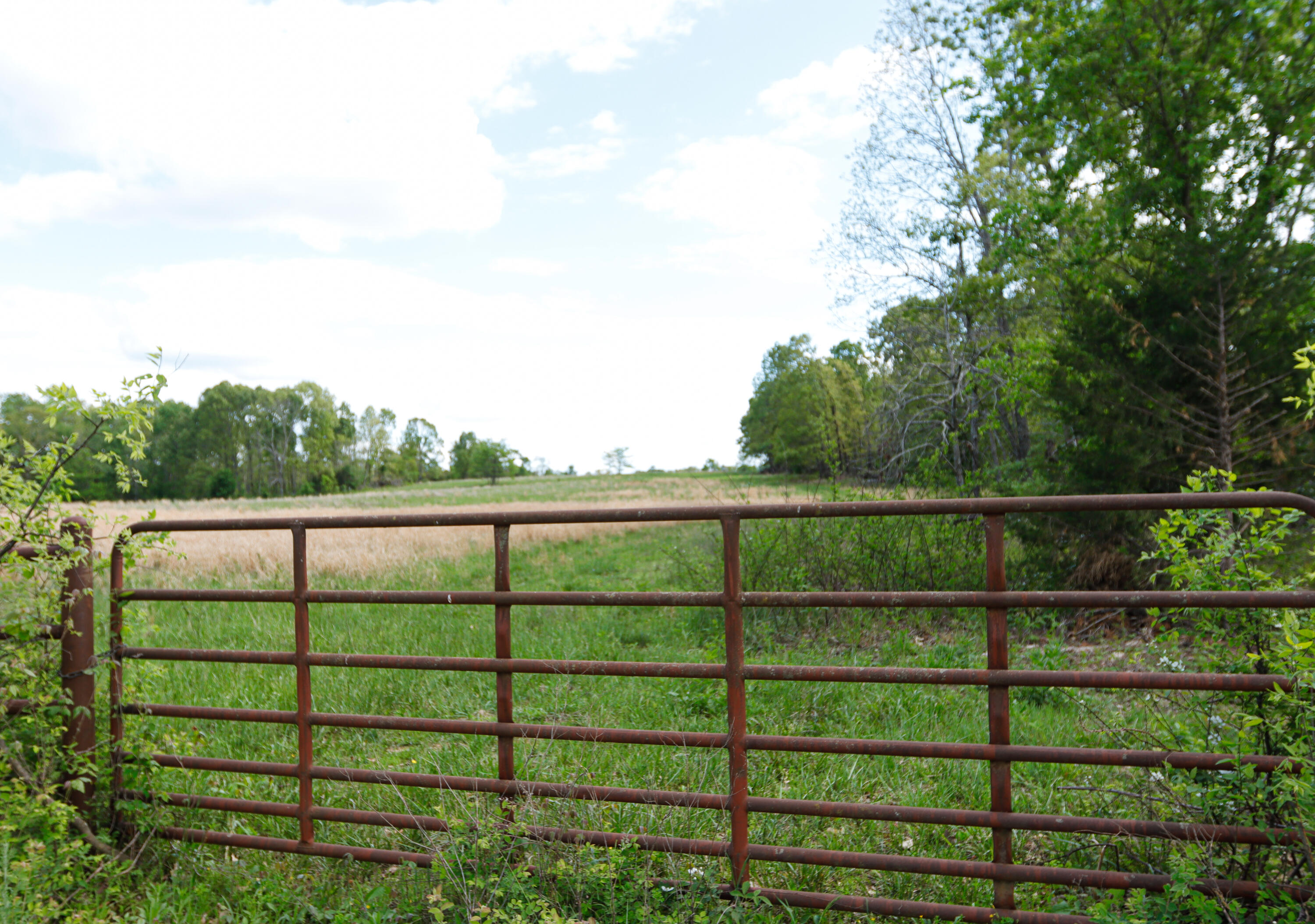 000 State Route M Highway Highway Property Photo 3