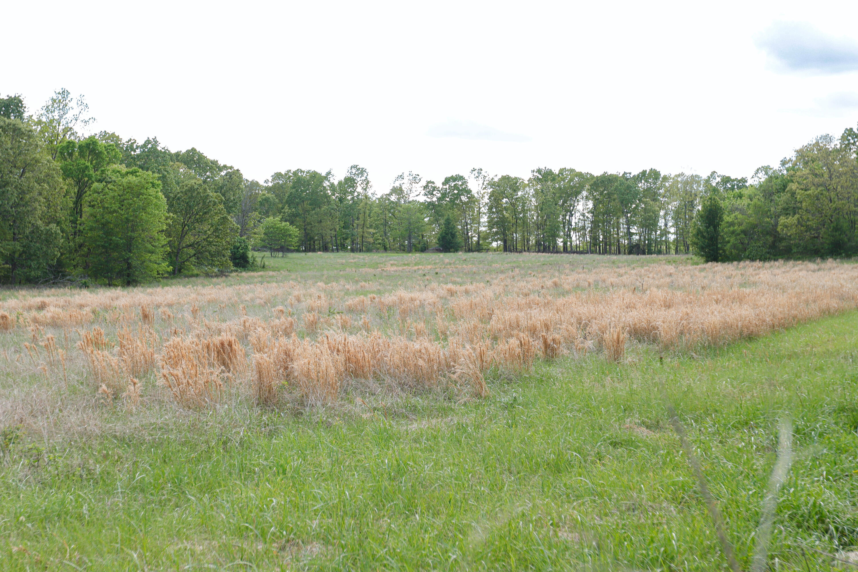 000 State Route M Highway Highway Property Photo 4