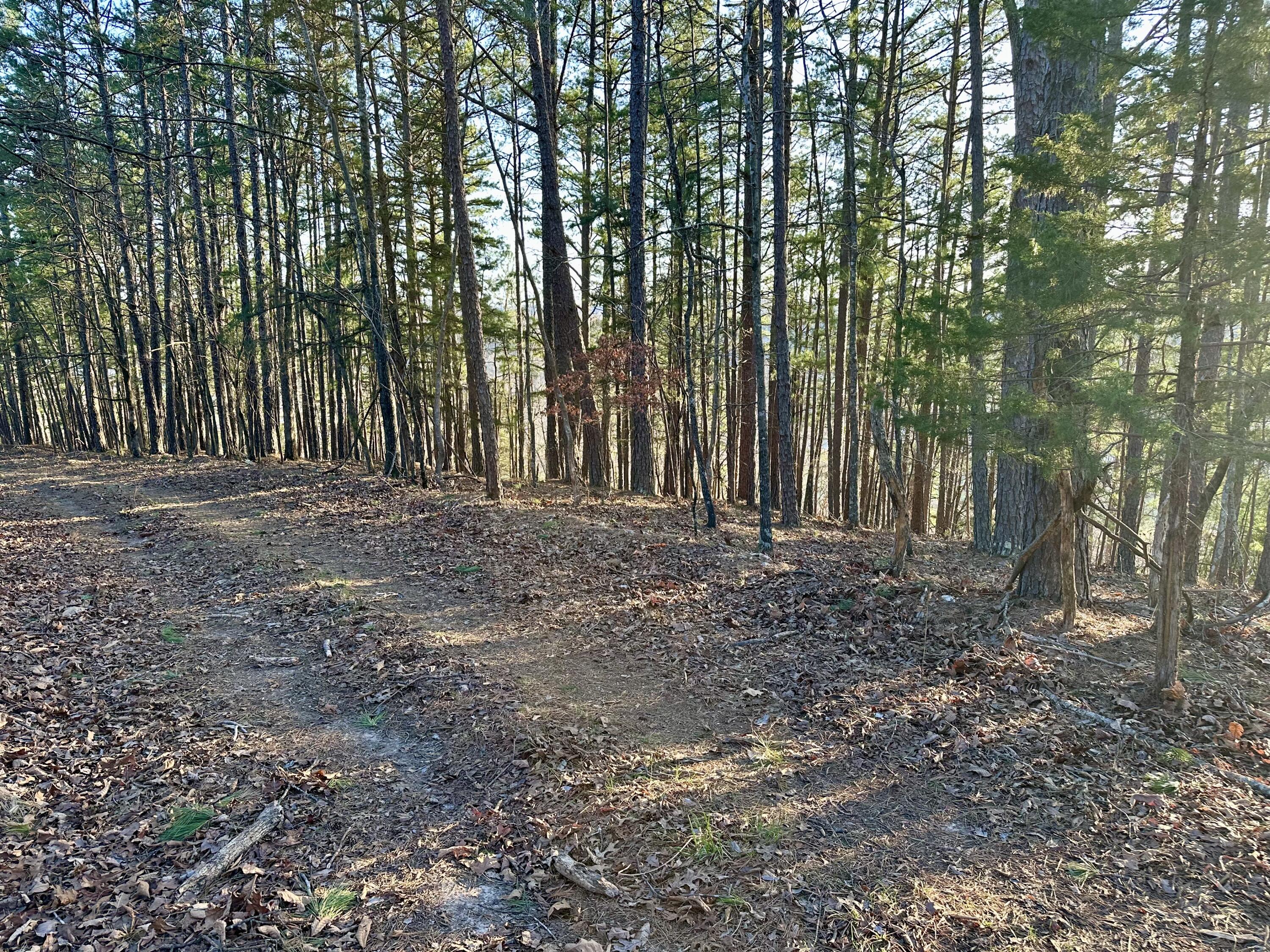 000 Brown Road Property Photo 5