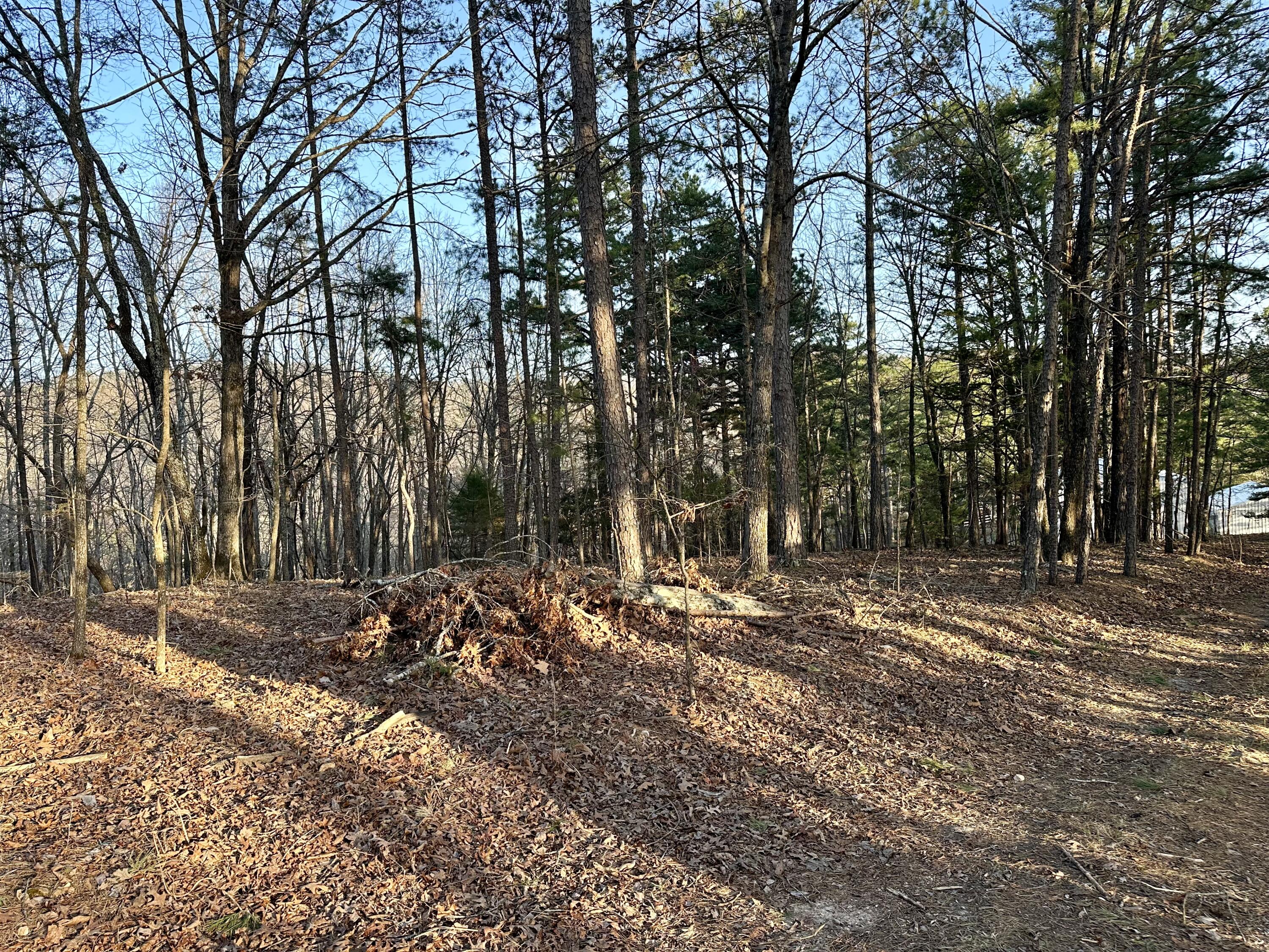 000 Brown Road Property Photo 6