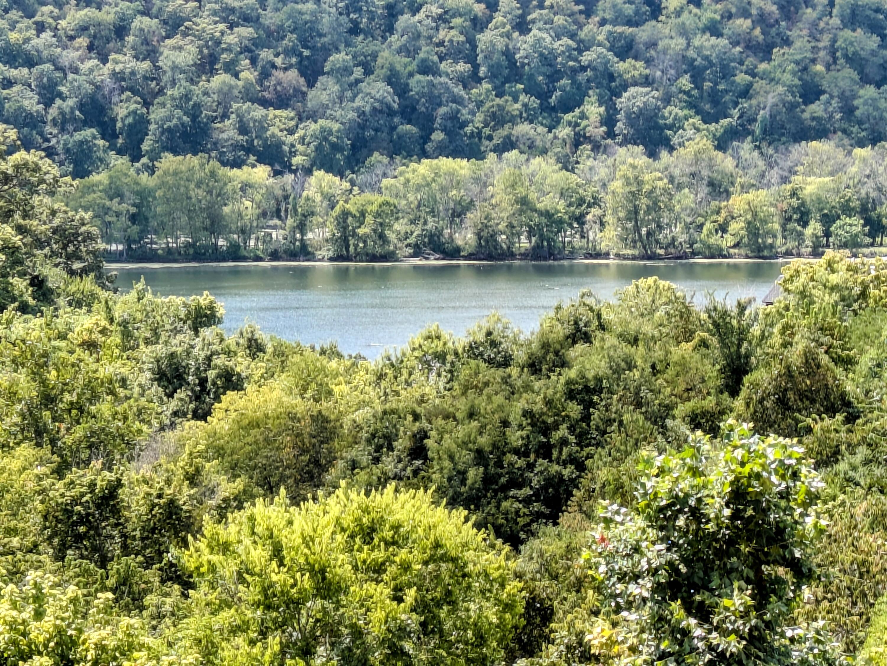 150 Sunken Forest Dr. 6-183 Property Photo 23