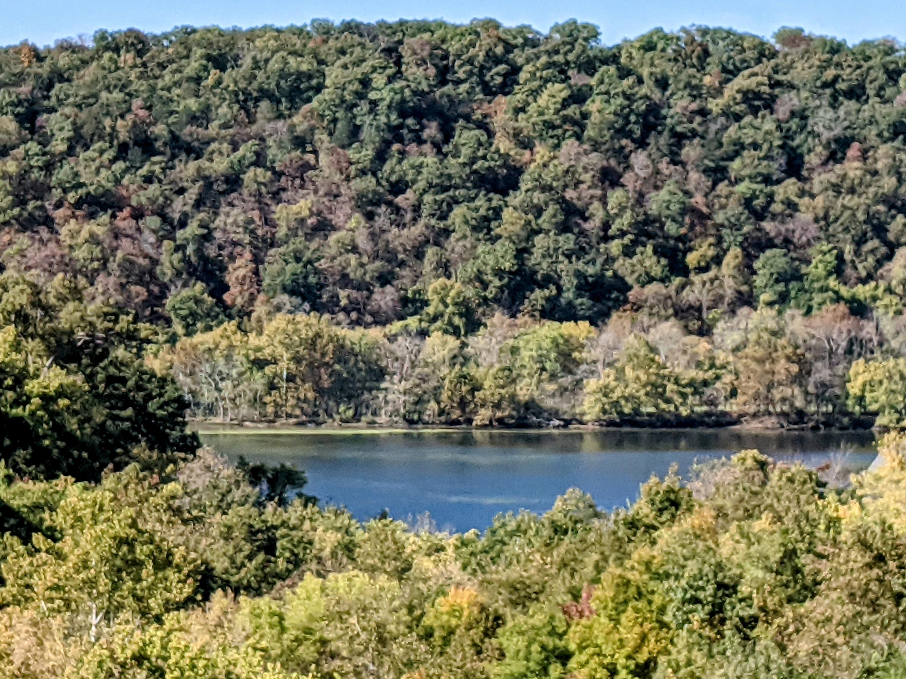 150 Sunken Forest Dr. 6-183 Property Photo 30