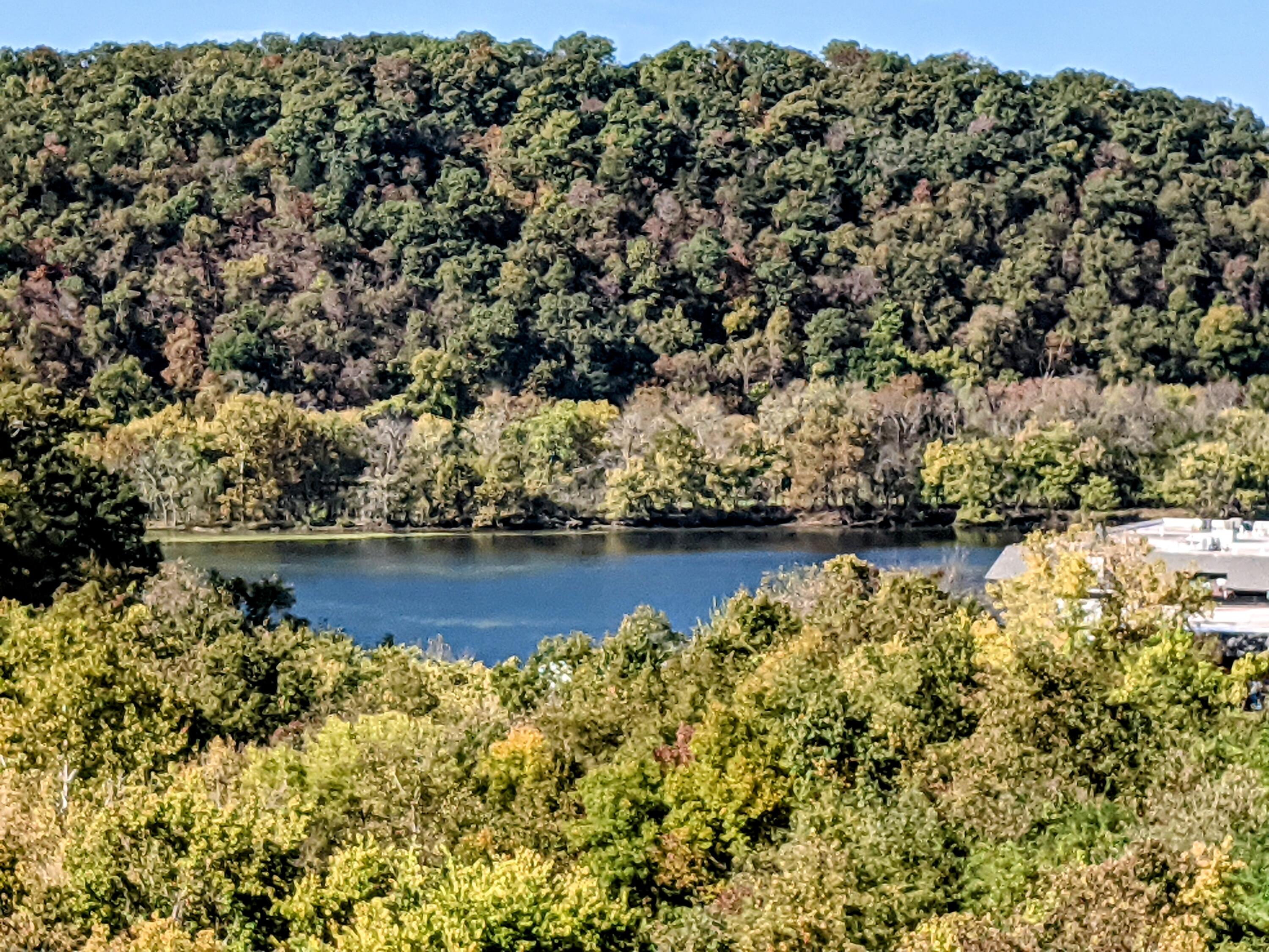 150 Sunken Forest Dr. 6-183 Property Photo 37