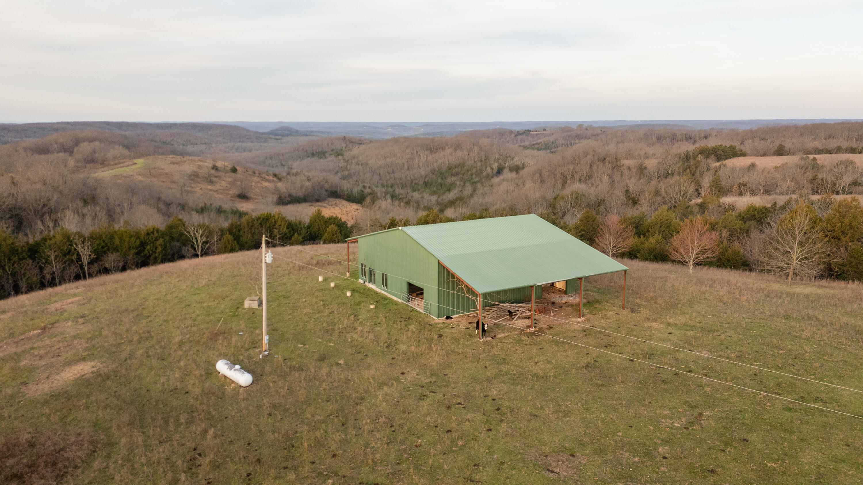 8352 Chadwick Road Property Photo 11