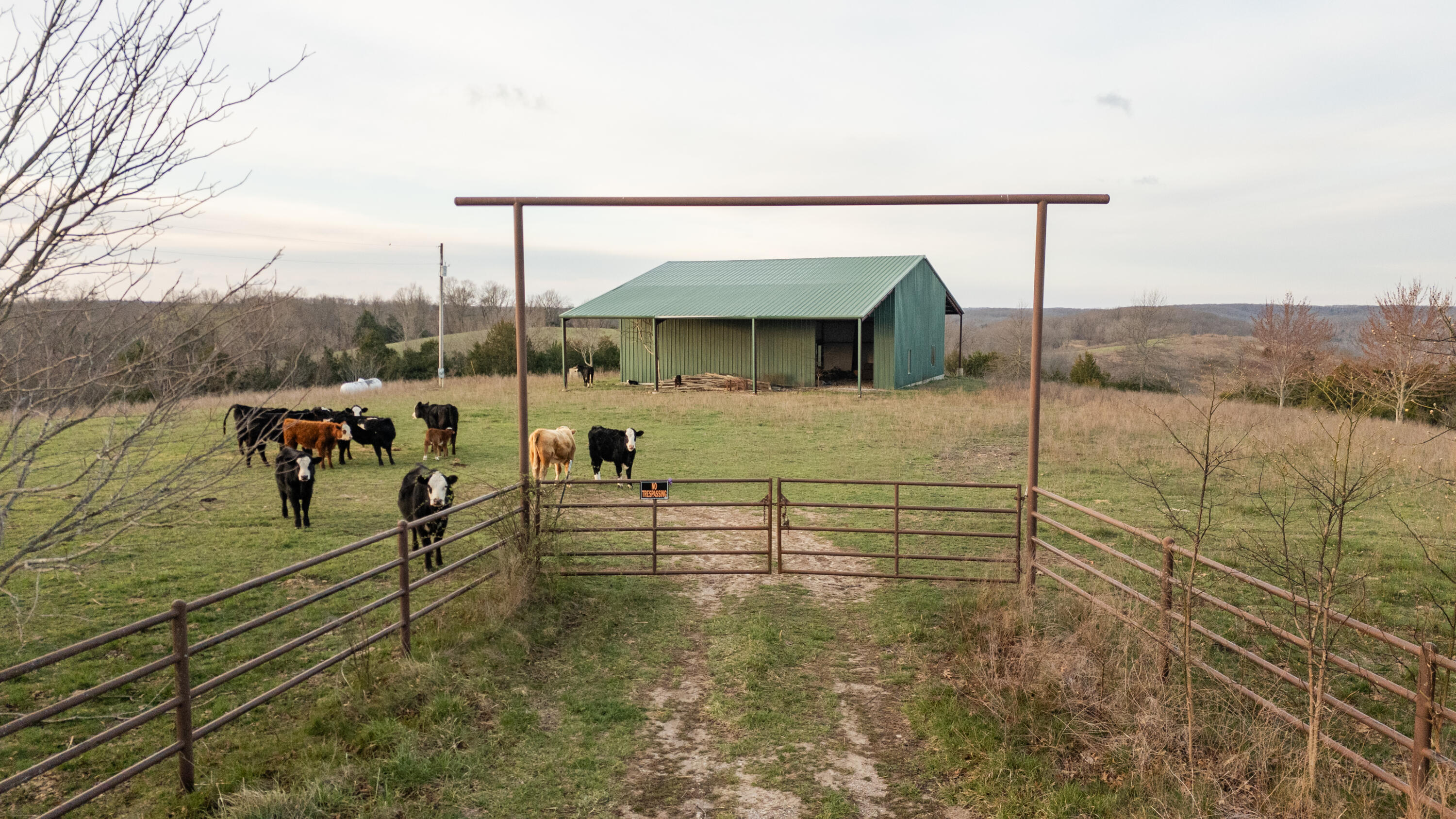 8352 Chadwick Road Property Photo 21