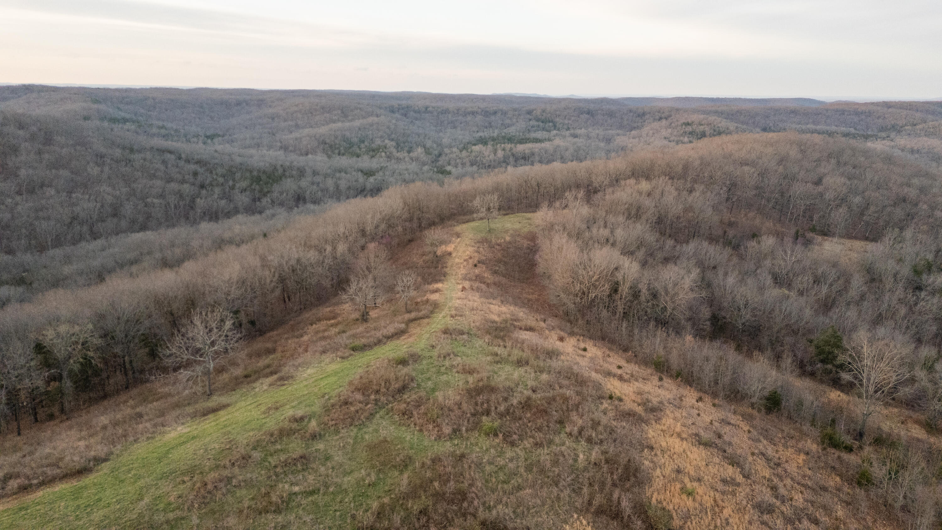 8352 Chadwick Road Property Photo 29