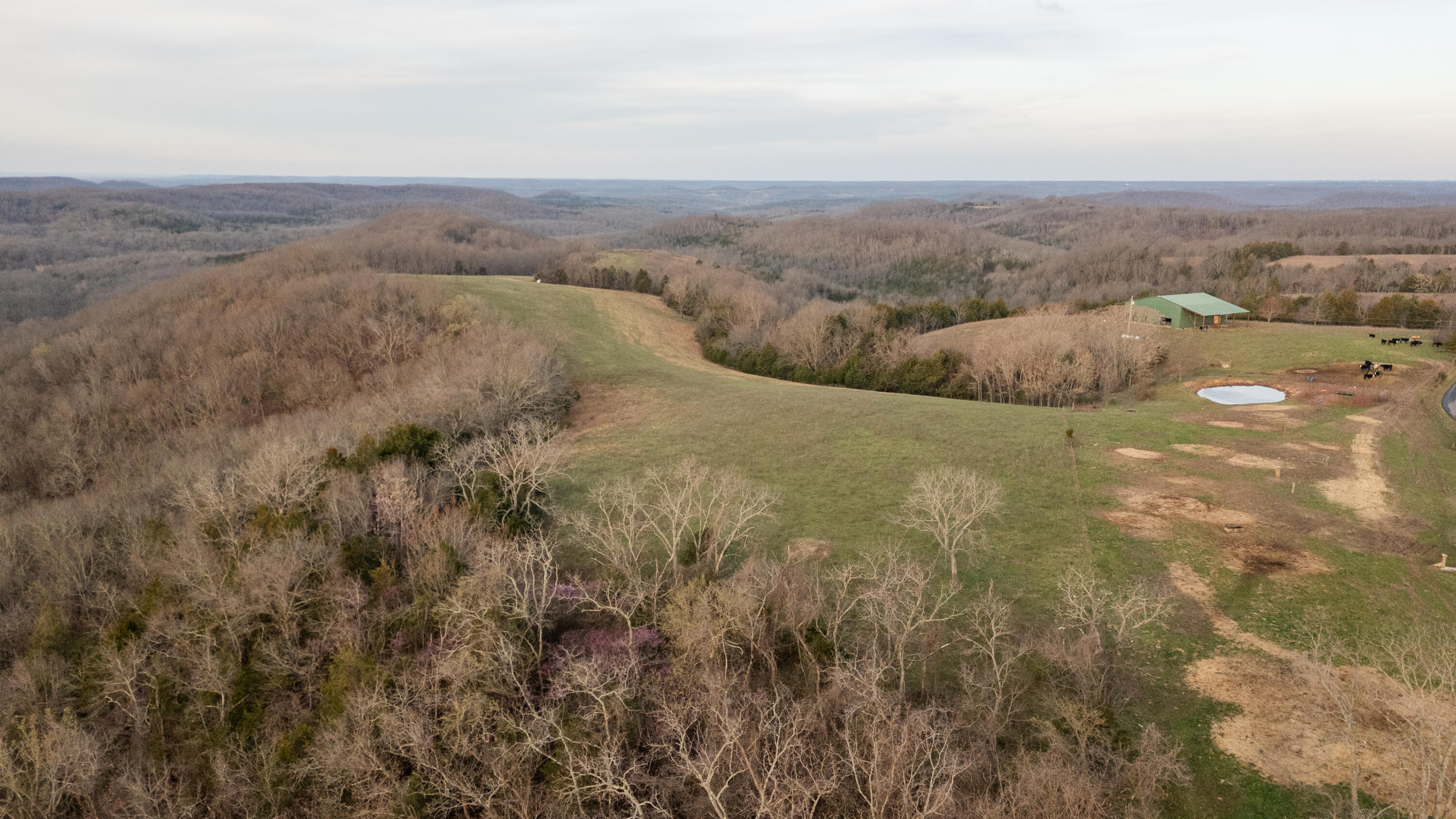 8352 Chadwick Road Property Photo 43