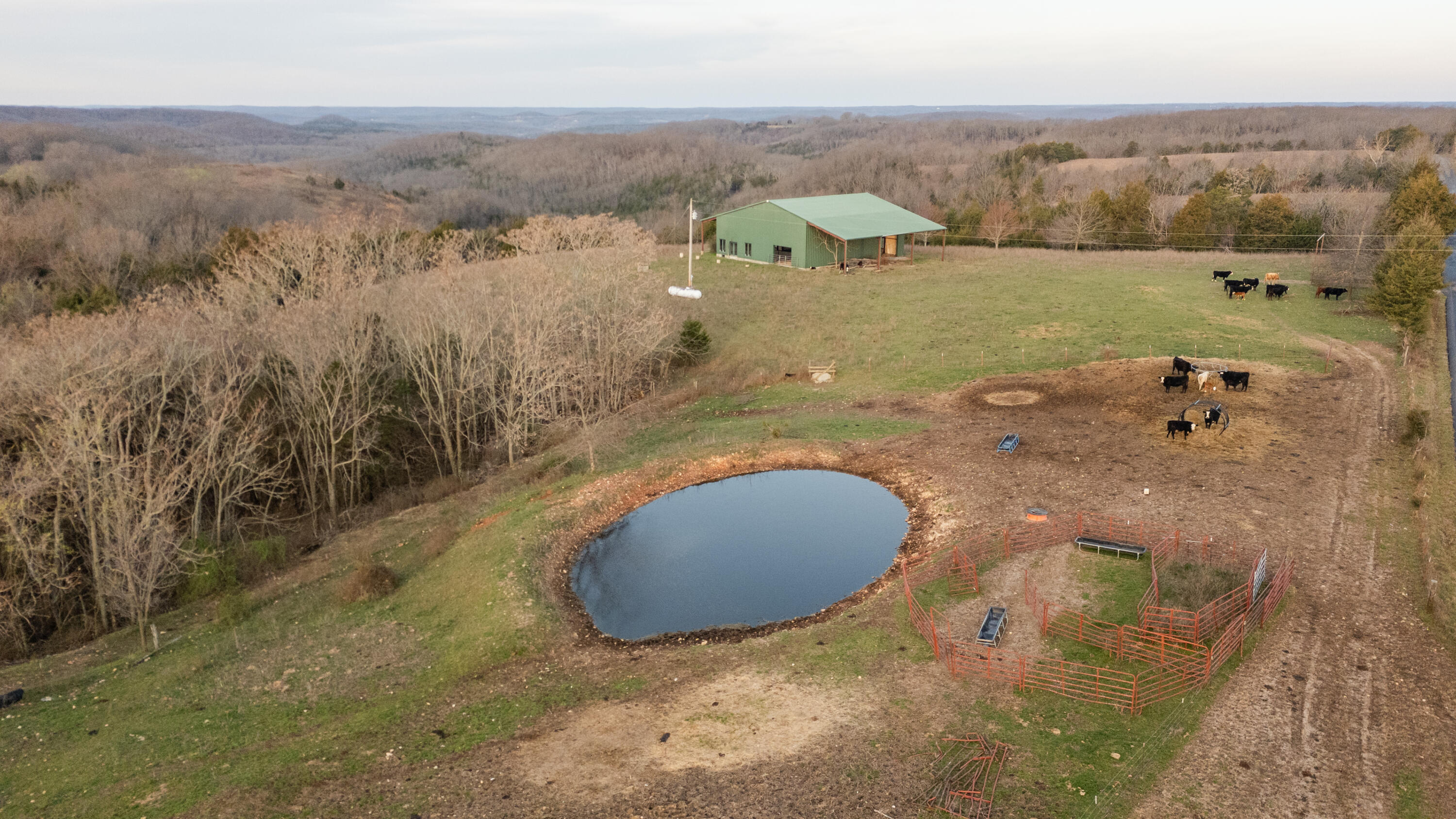 8352 Chadwick Road Property Photo 44
