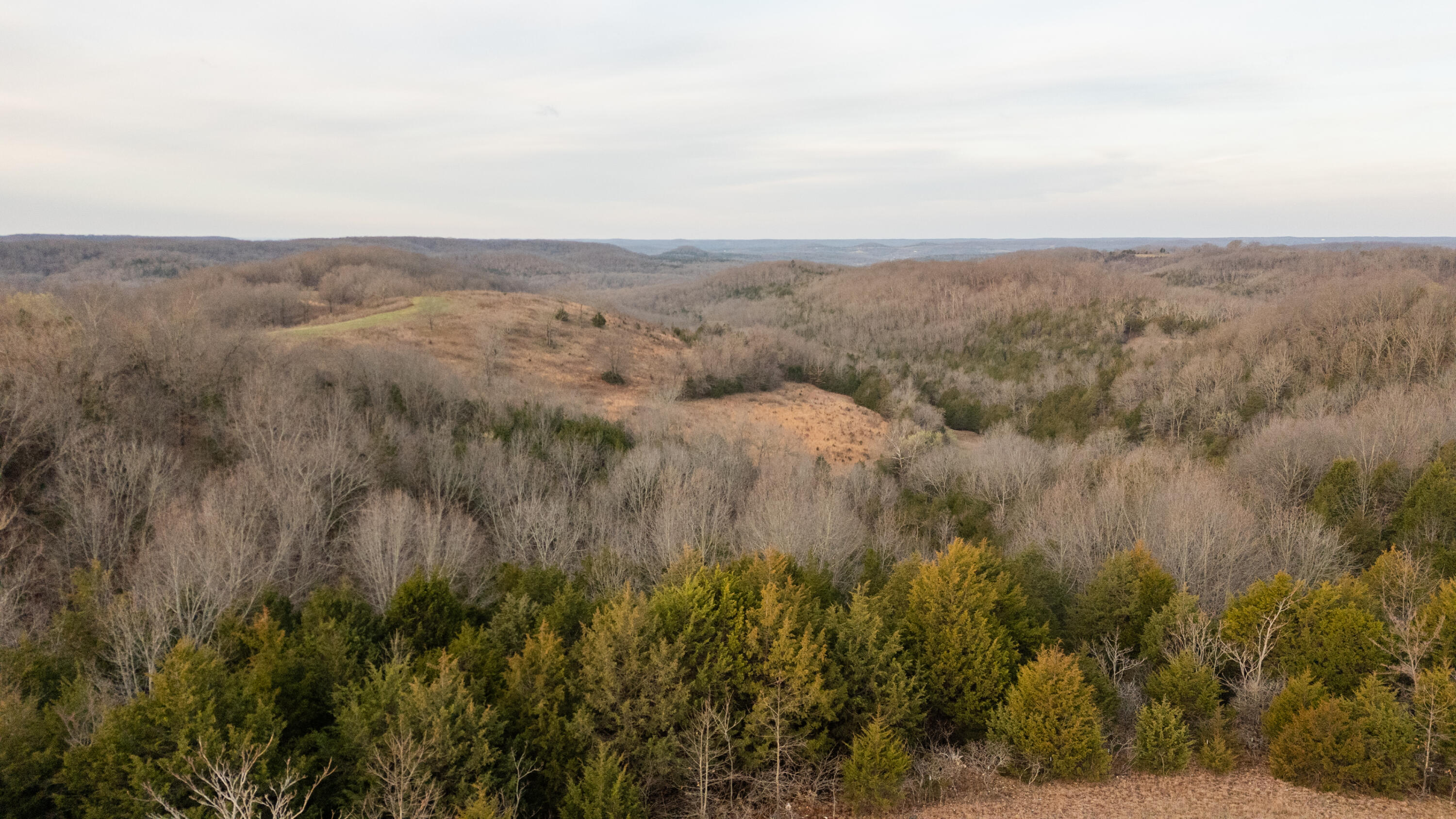 8352 Chadwick Road Property Photo 45