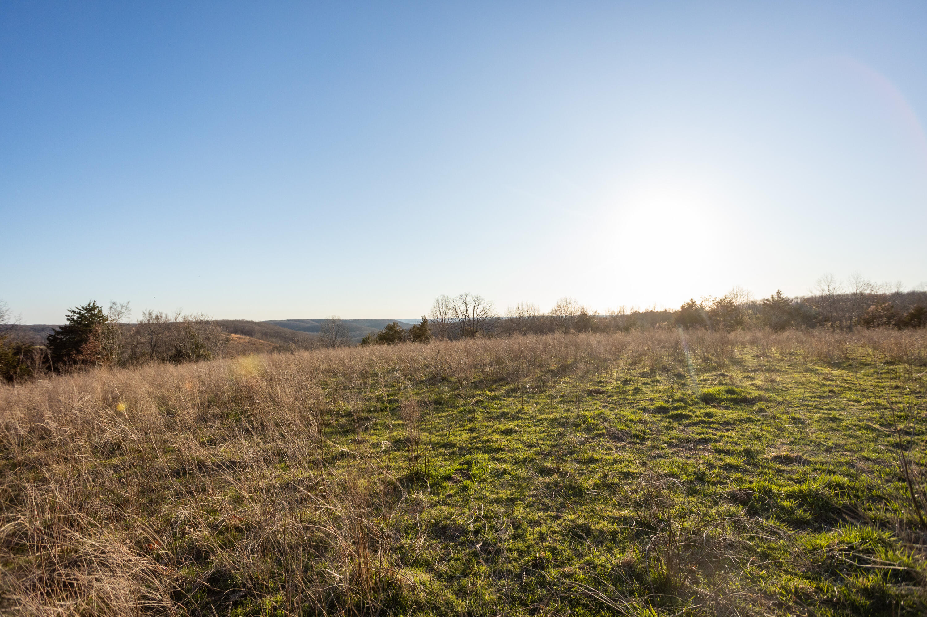 8352 Chadwick Road Property Photo 49