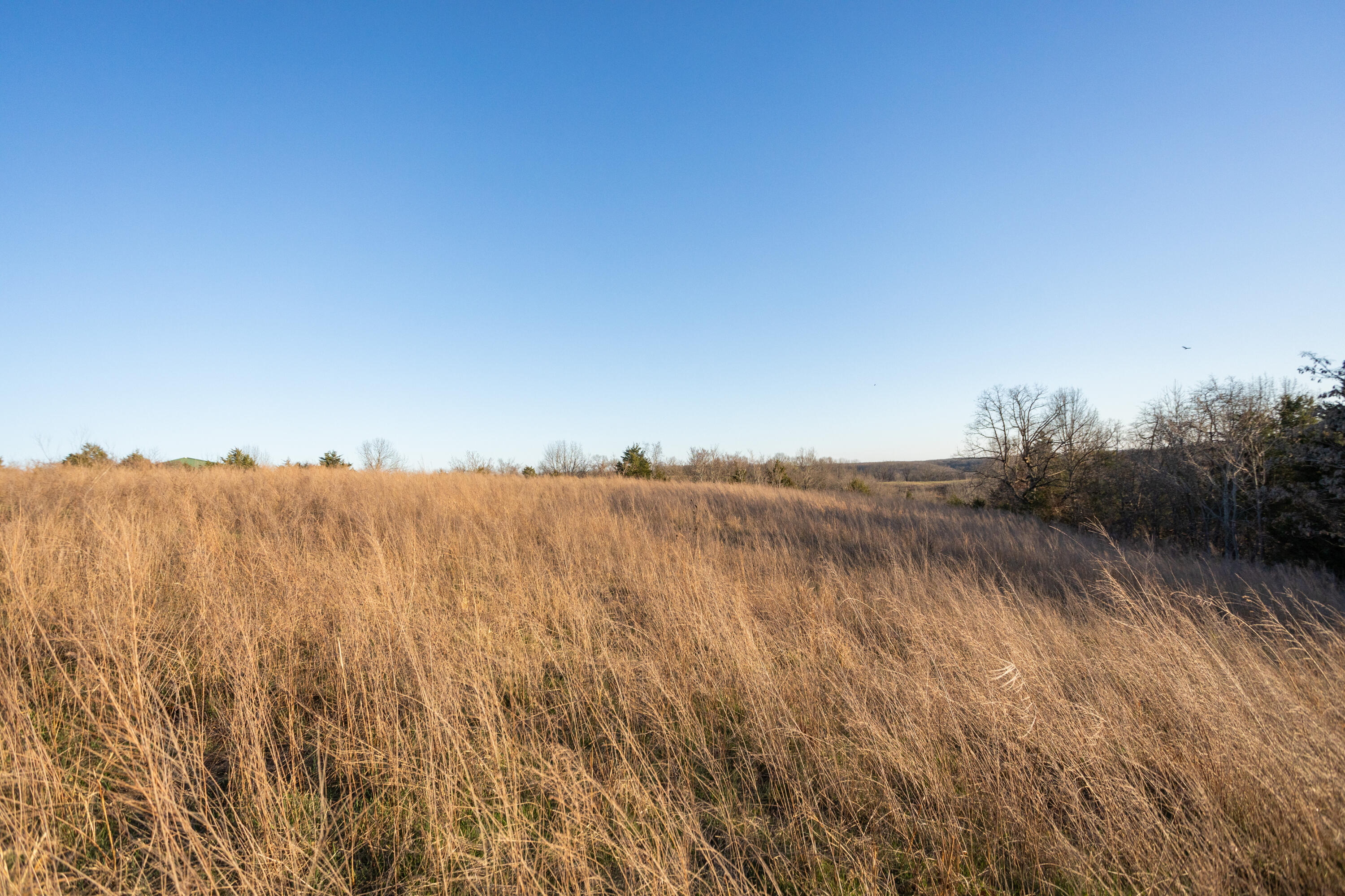 8352 Chadwick Road Property Photo 50