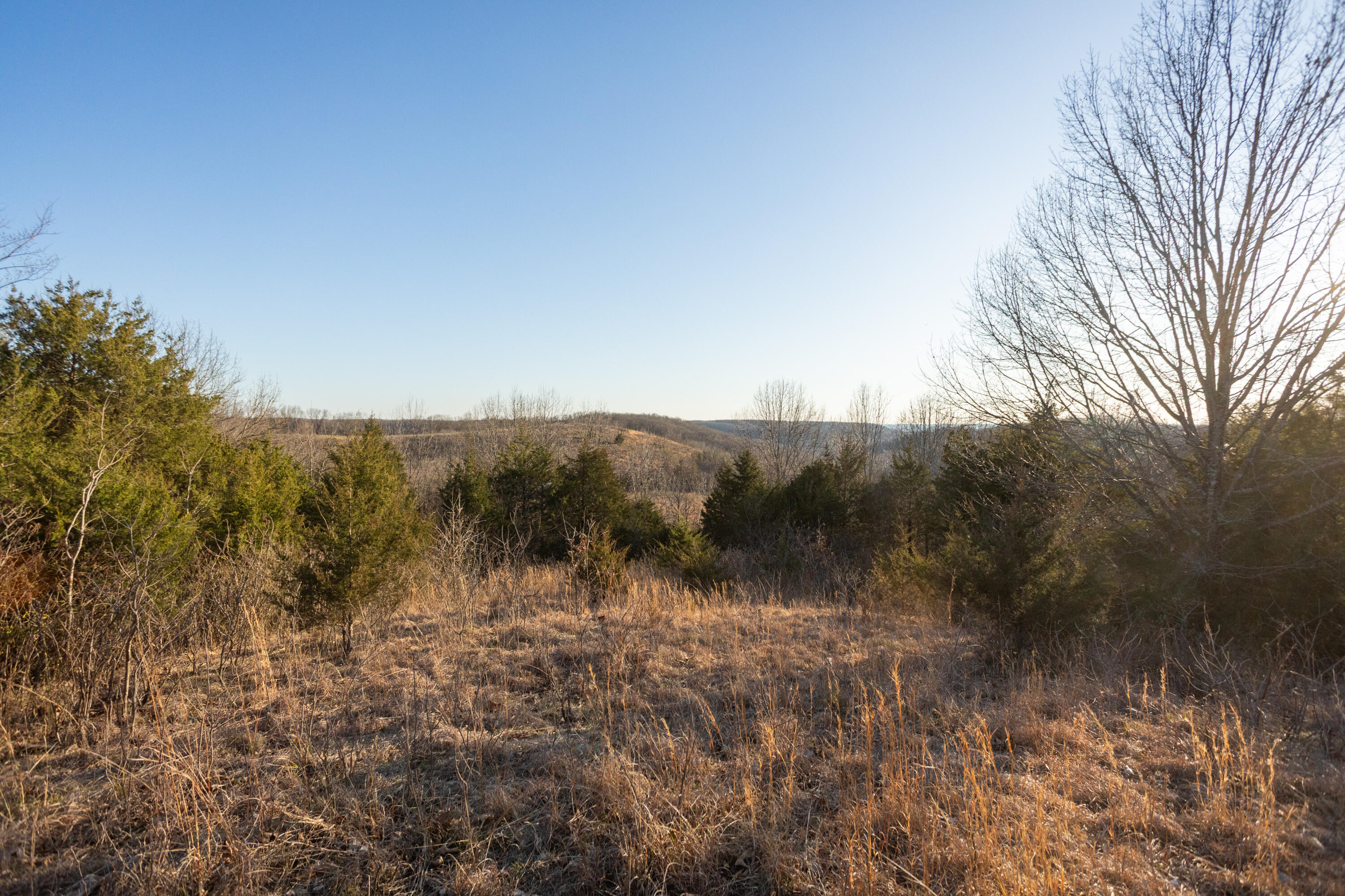8352 Chadwick Road Property Photo 51