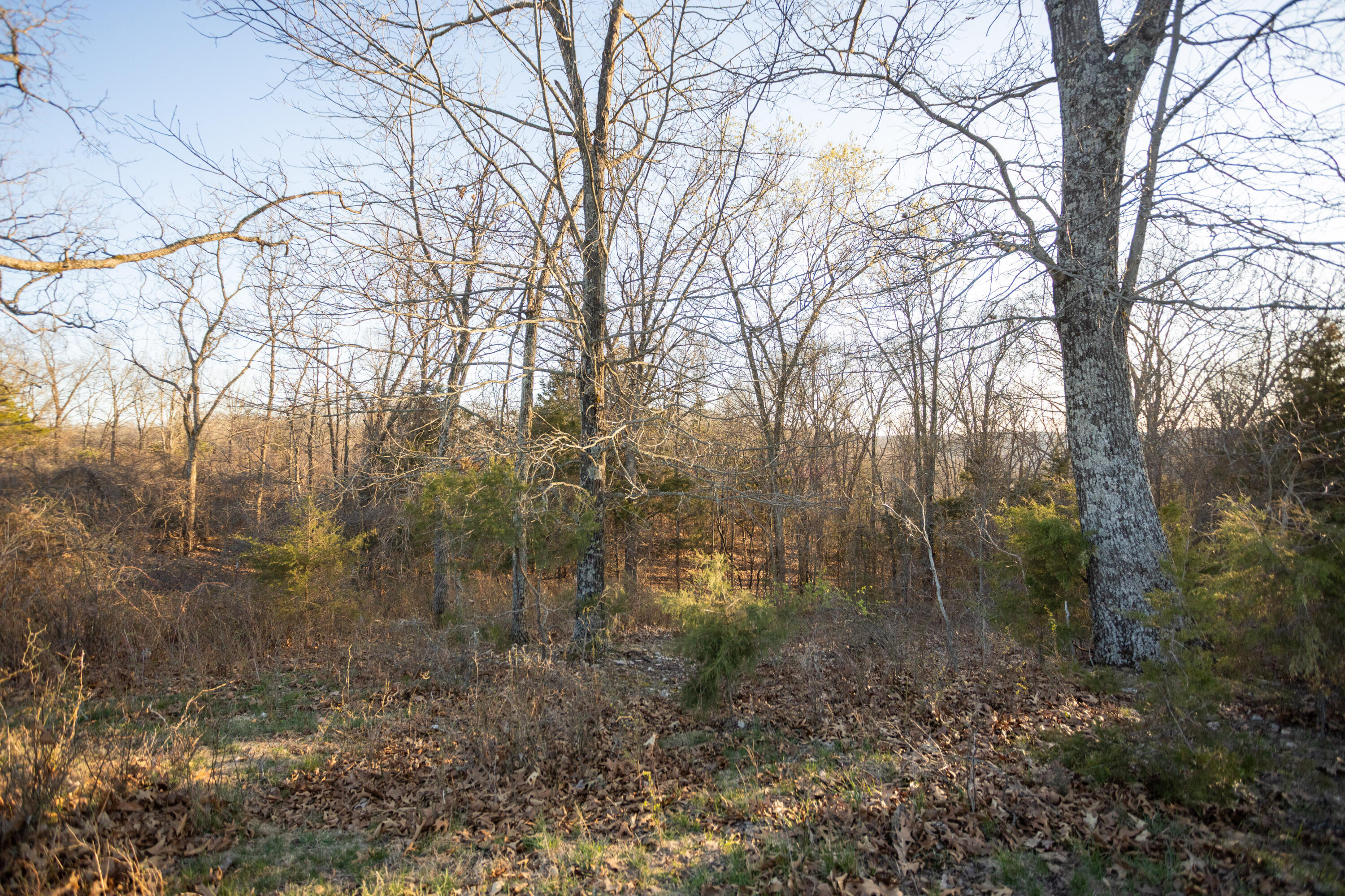 8352 Chadwick Road Property Photo 55