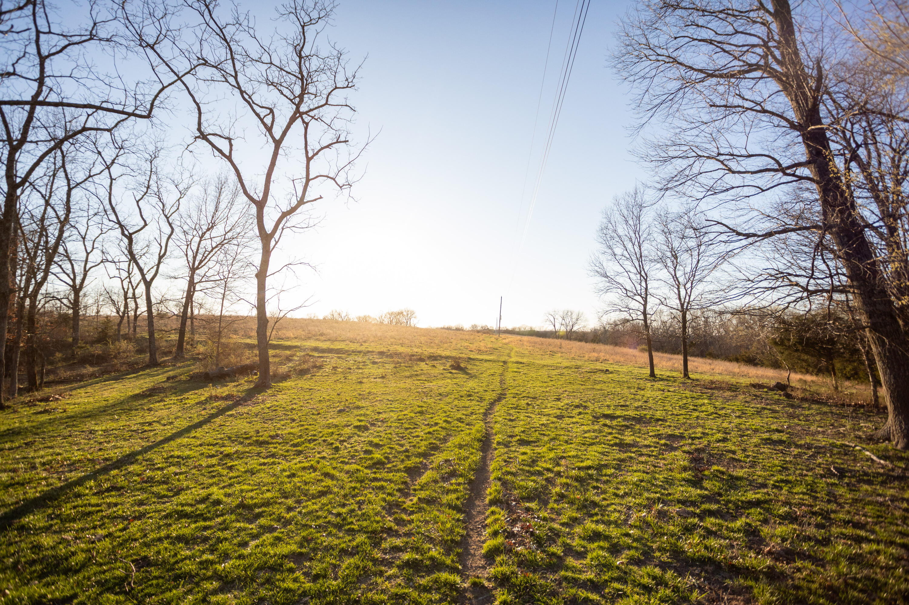 8352 Chadwick Road Property Photo 58