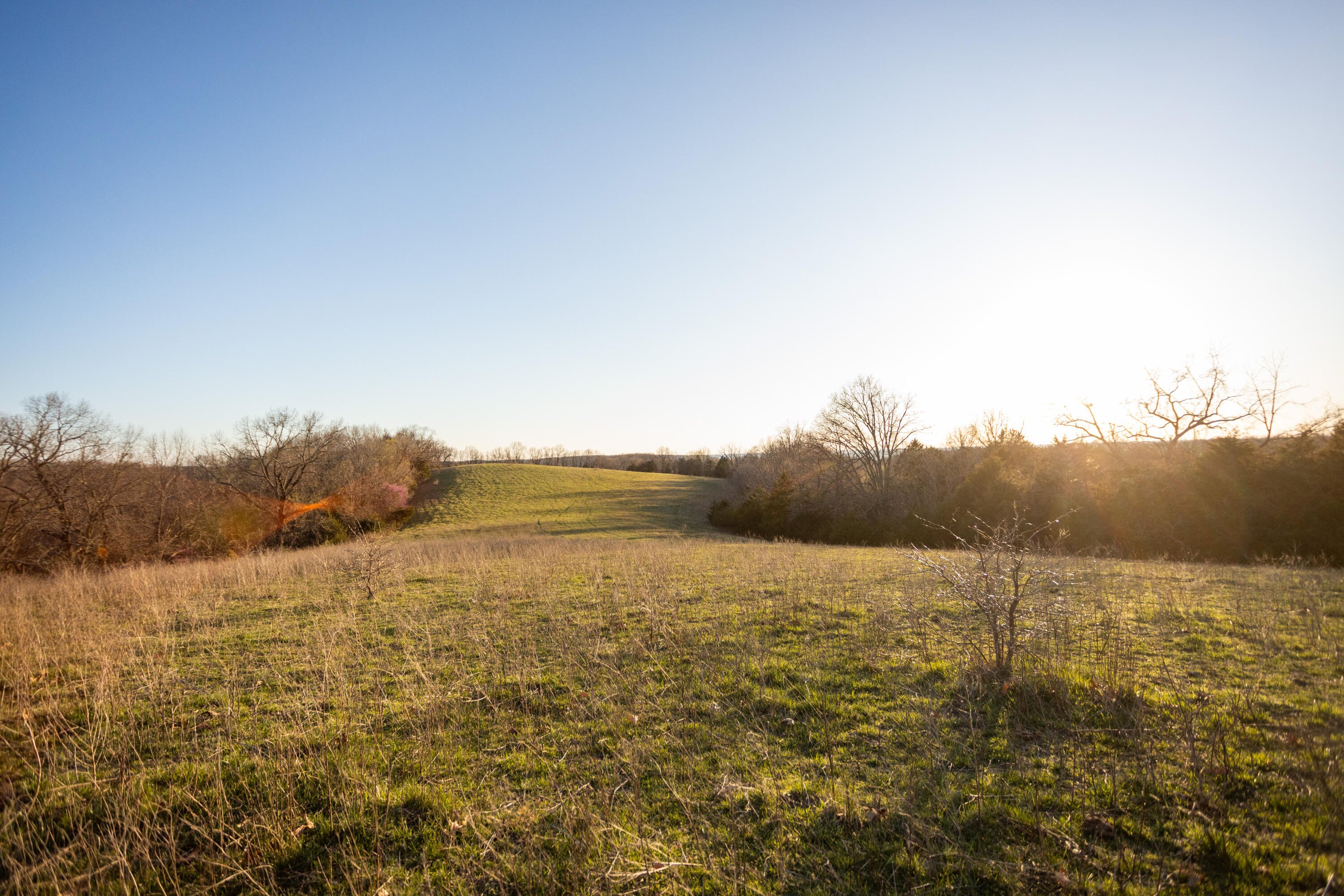 8352 Chadwick Road Property Photo 61