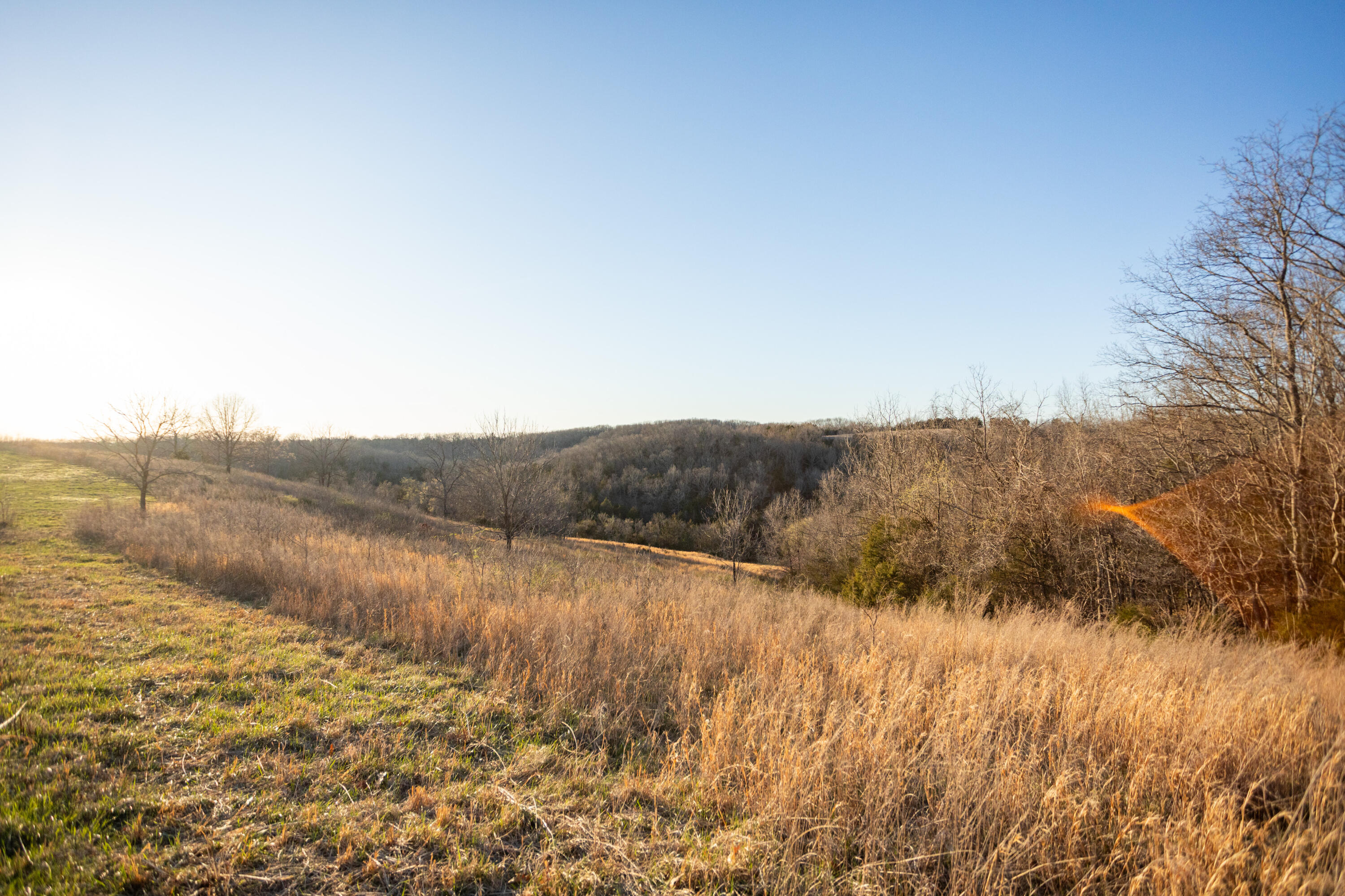 8352 Chadwick Road Property Photo 62