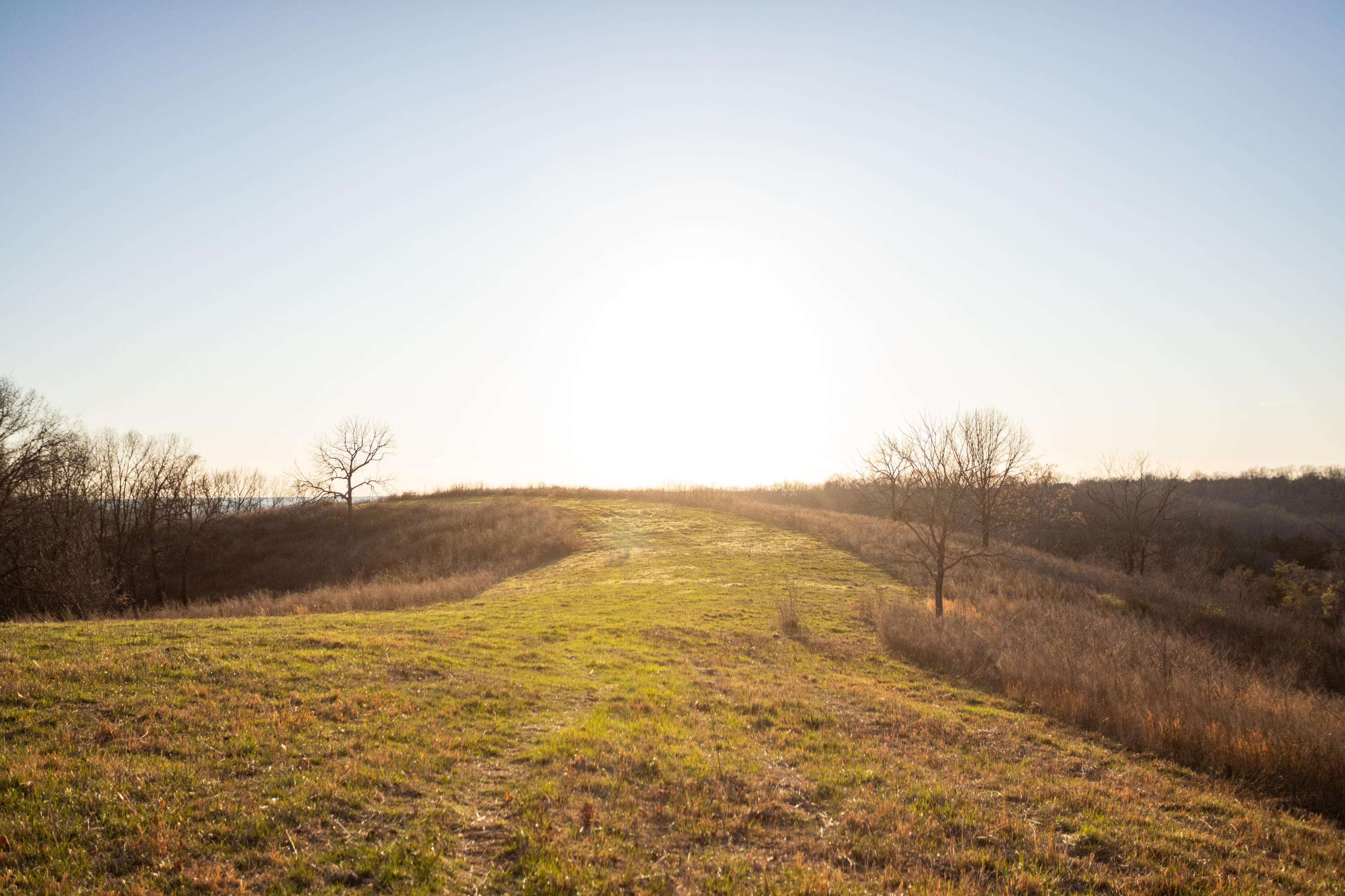 8352 Chadwick Road Property Photo 63