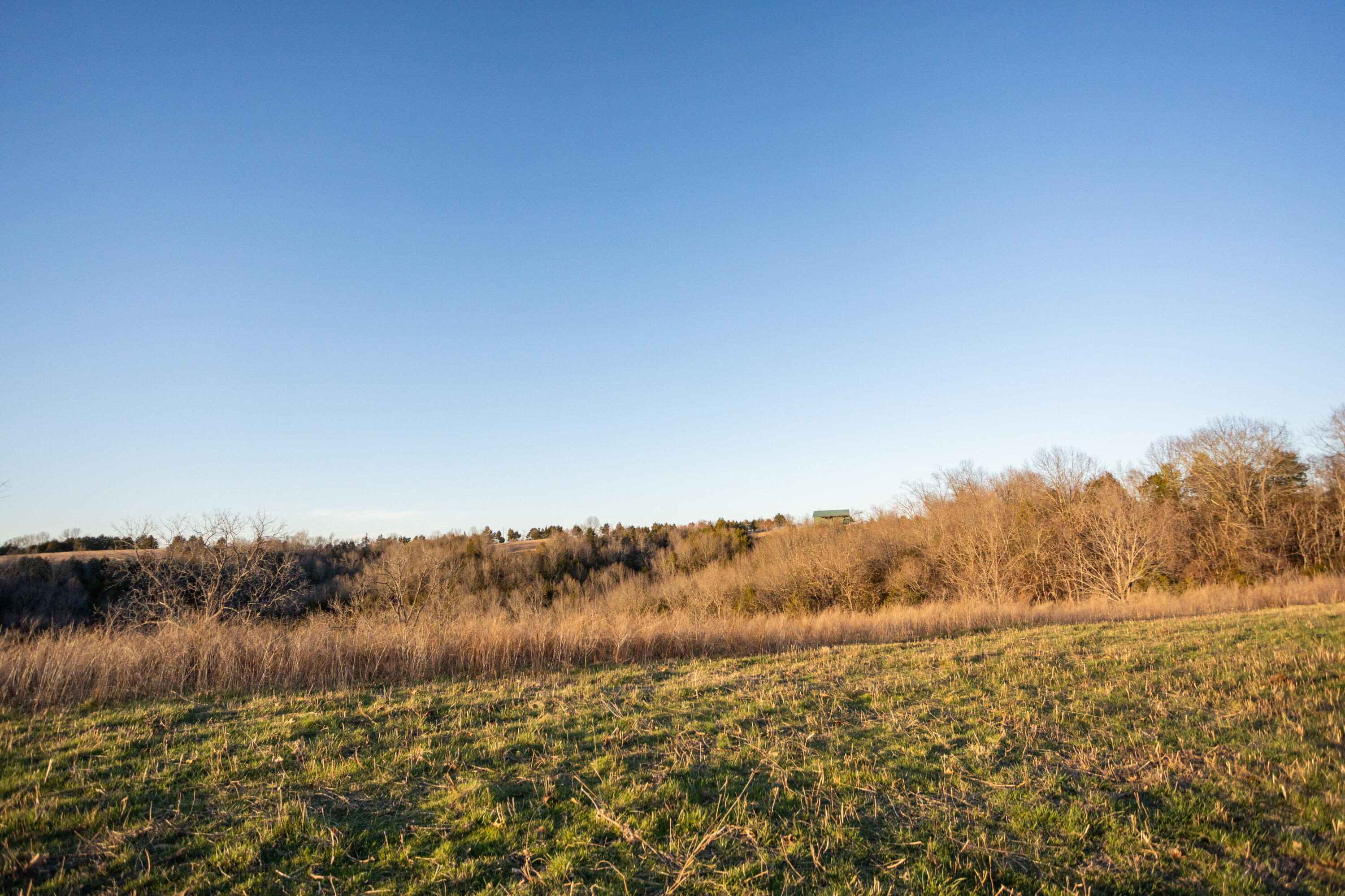 8352 Chadwick Road Property Photo 64