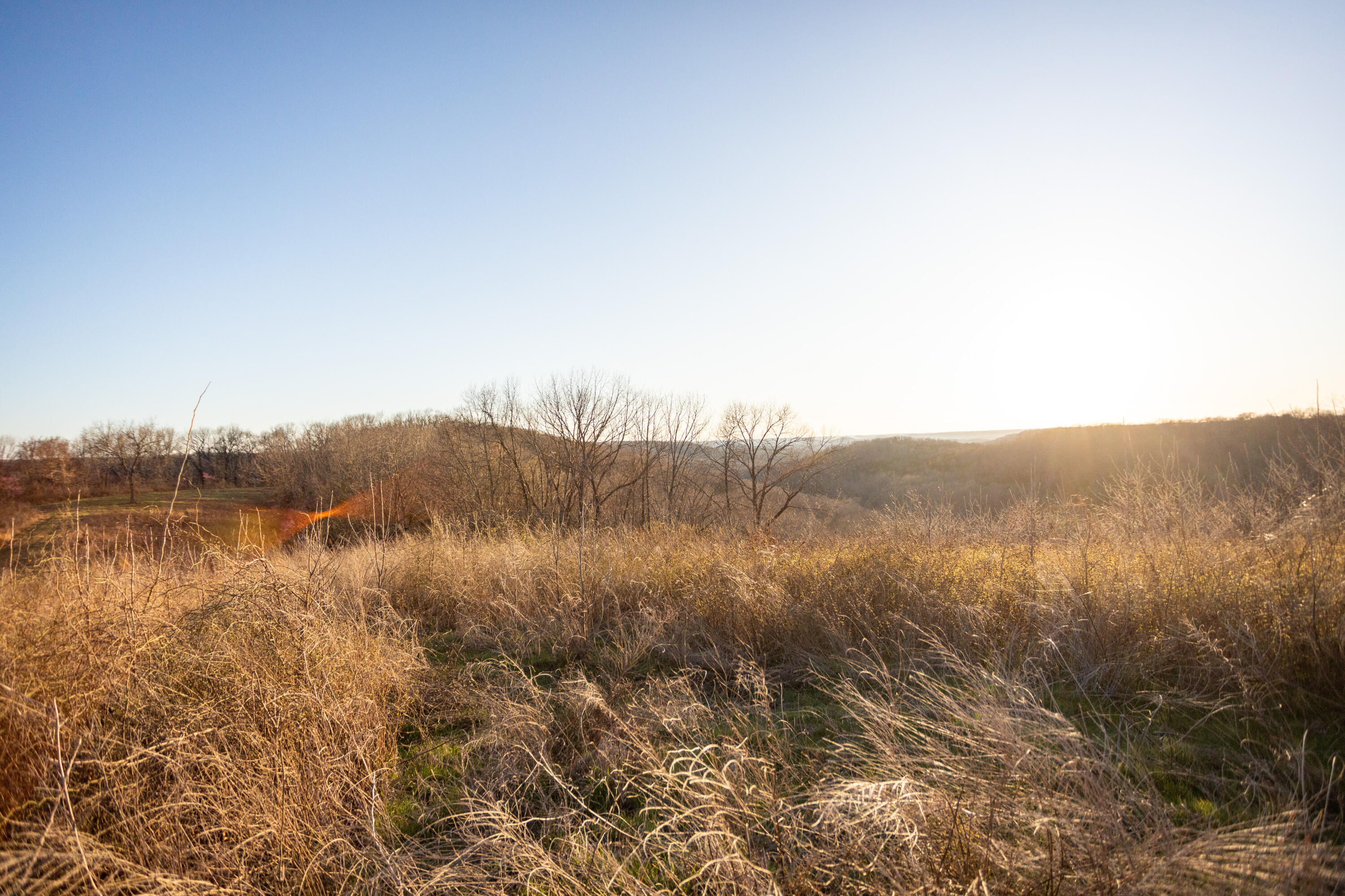 8352 Chadwick Road Property Photo 65